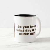 Hump Day-kamels Tweekleurige Koffiemok (Voorkant rechts)