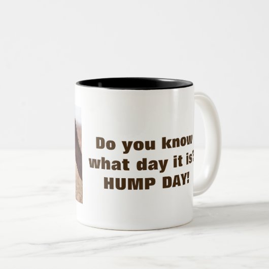 Hump Day-kamels Tweekleurige Koffiemok (Voorkant rechts)