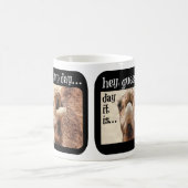 Hump Day Mok, verschillende foto's voor en achter Koffiemok (Center)