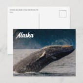 Humpback Breach Alaska Briefkaart (Voorkant / Achterkant)
