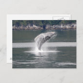 Humpback Breach Briefkaart (Voorkant / Achterkant)