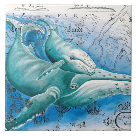 Humpback Family  Map Tegeltje (Voorkant)