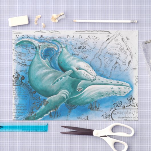 Humpback Family Map Tissuepapier (Craft)