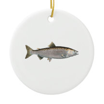 Humpback Salmon (oceaanfase)