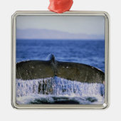 Humpback staart. metalen ornament (Voorkant)