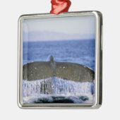 Humpback staart. metalen ornament (Links)