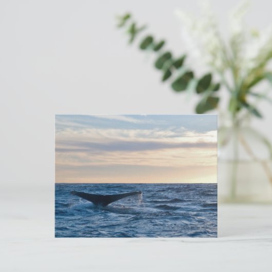 Humpback Tail Briefkaart (Staand voorkant)