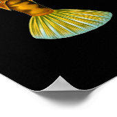 Humpback Turretfish, Ernst Haeckel Fine Art Poster (Hoek)