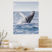 Humpback walvis die de verenigde staten schendt poster (Keuken)