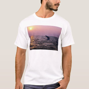 Humpback walvis die op zonsondergang, Pet, een sch T-shirt