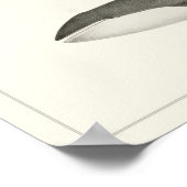 Humpback walvis en Minke Whale Poster (Hoek)