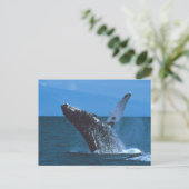 Humpback walvis Jumping Briefkaart (Staand voorkant)