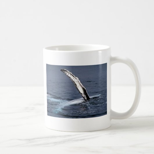 Humpback walvis koffiemok (Rechts)