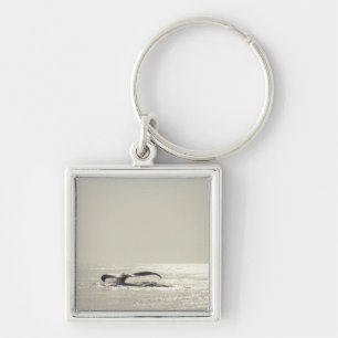 Humpback walvis, staart boven wateroppervlak sleutelhanger