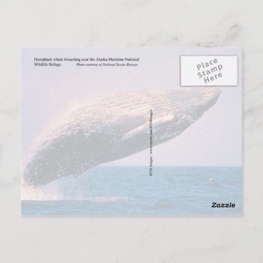Humpback walvisjacht, Alaska Briefkaart (Achterkant)