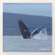 Humpback walviskop longglas onderzetter