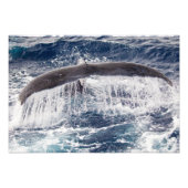 Humpback Waterfall Photo Print Foto Afdruk (Voorkant)