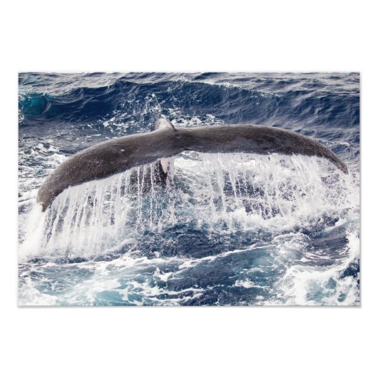 Humpback Waterfall Photo Print Foto Afdruk (Voorkant)