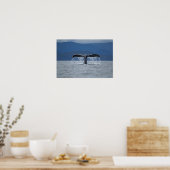 Humpback Whale 2 Poster (Keuken)