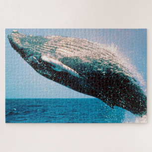 Humpback Whale Alaska Legpuzzel