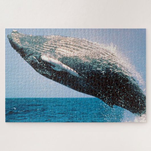 Humpback Whale Alaska Legpuzzel (Horizontaal)