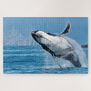 Humpback Whale Alaska Legpuzzel