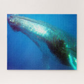 Humpback Whale Alaska Legpuzzel (Horizontaal)