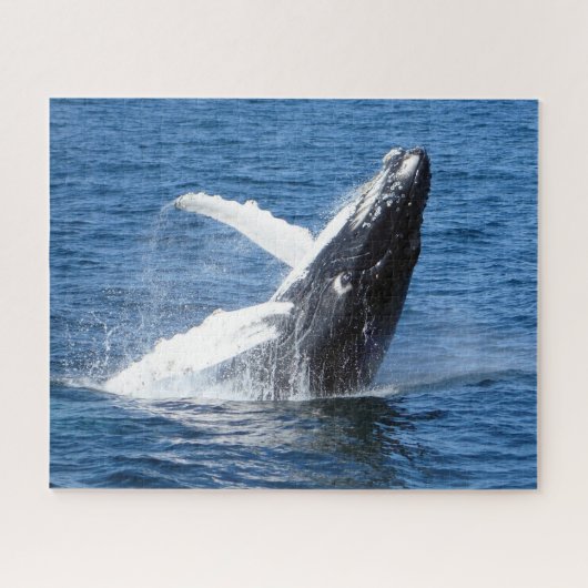 Humpback Whale Alaska Legpuzzel (Horizontaal)