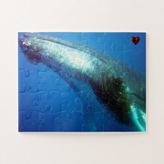 Humpback Whale Alaska Legpuzzel (Horizontaal)