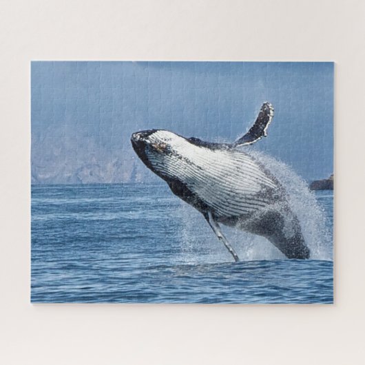 Humpback Whale Alaska Legpuzzel (Horizontaal)