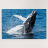 Humpback Whale Alaska Legpuzzel (Horizontaal)