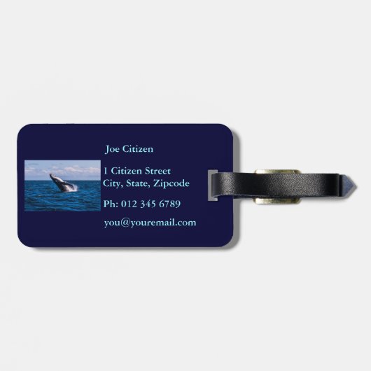 Humpback Whale Baching Bagagelabel (Achterkant horizontaal)