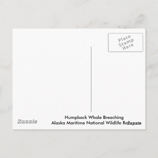 Humpback Whale Baching Briefkaart (Achterkant)