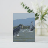Humpback Whale Baching door Windsurfers Briefkaart (Staand voorkant)
