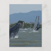 Humpback Whale Baching door Windsurfers Briefkaart (Voorkant)