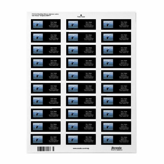 Humpback Whale Baching Etiket (Full Sheet)