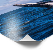 Humpback Whale Baching Foto Print Afdruk (Hoek)
