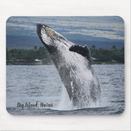 Humpback Whale Baching Muismat
