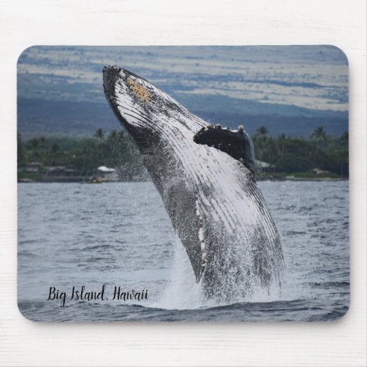 Humpback Whale Baching Muismat (Voorkant)
