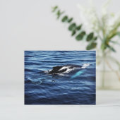Humpback Whale Briefkaart (Staand voorkant)