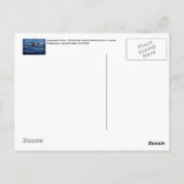 Humpback Whale Briefkaart (Achterkant)