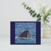 Humpback Whale Briefkaart (Staand voorkant)