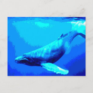 Humpback Whale Briefkaart