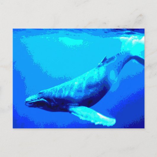 Humpback Whale Briefkaart (Voorkant)