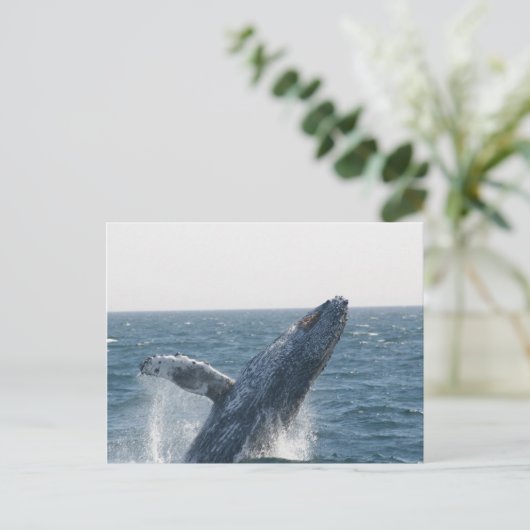 Humpback Whale Briefkaart (Staand voorkant)