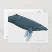 Humpback Whale Briefkaart (Voorkant / Achterkant)
