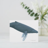 Humpback Whale Briefkaart (Staand voorkant)