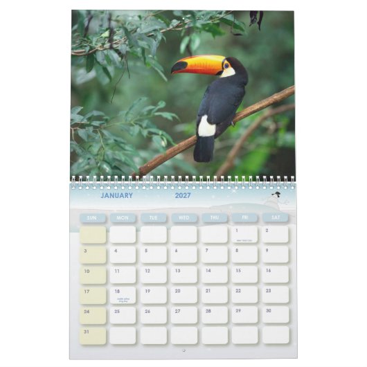 Humpback Whale, Calender 2010 Kalender (Jan 2027)