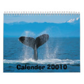 Humpback Whale, Calender 2010 Kalender (Hoes)