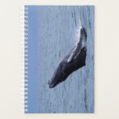 Humpback Whale Calf Breach Planner (Voorkant)